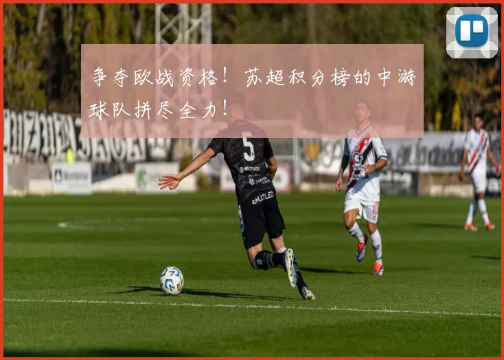 争夺欧战资格！苏超积分榜的中游球队拼尽全力！