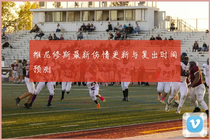 维尼修斯最新伤情更新与复出时间预测